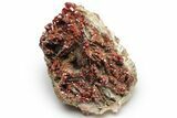 Deep Red Vanadinite Crystals on Barite - Morocco #233084-3